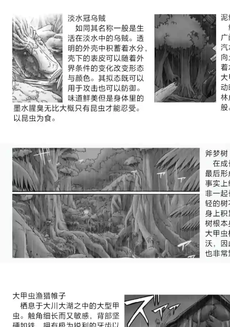 花之骑士达姬旎第10话