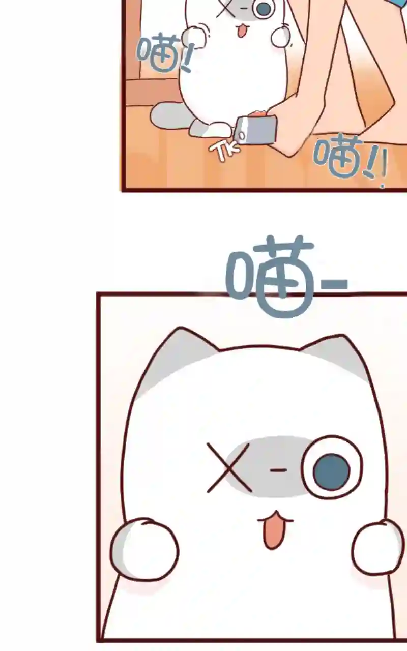 独眼猫第08话
