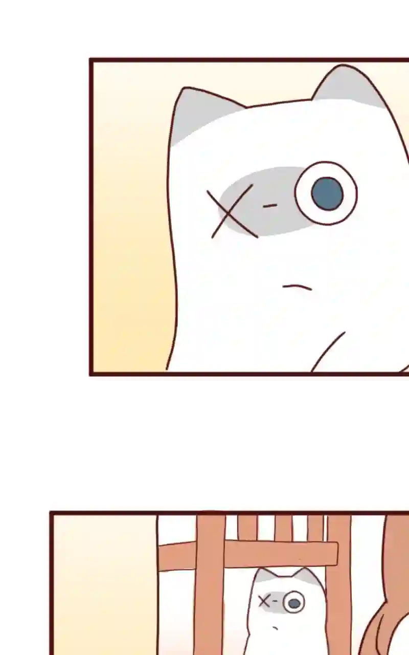 独眼猫第08话