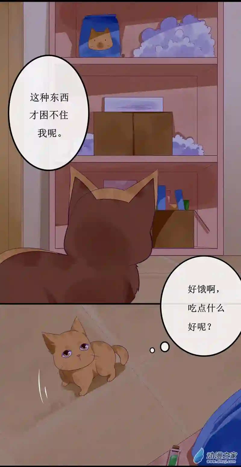 猫里狗气01 药水