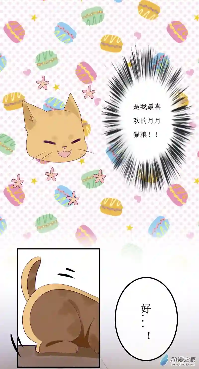 猫里狗气01 药水