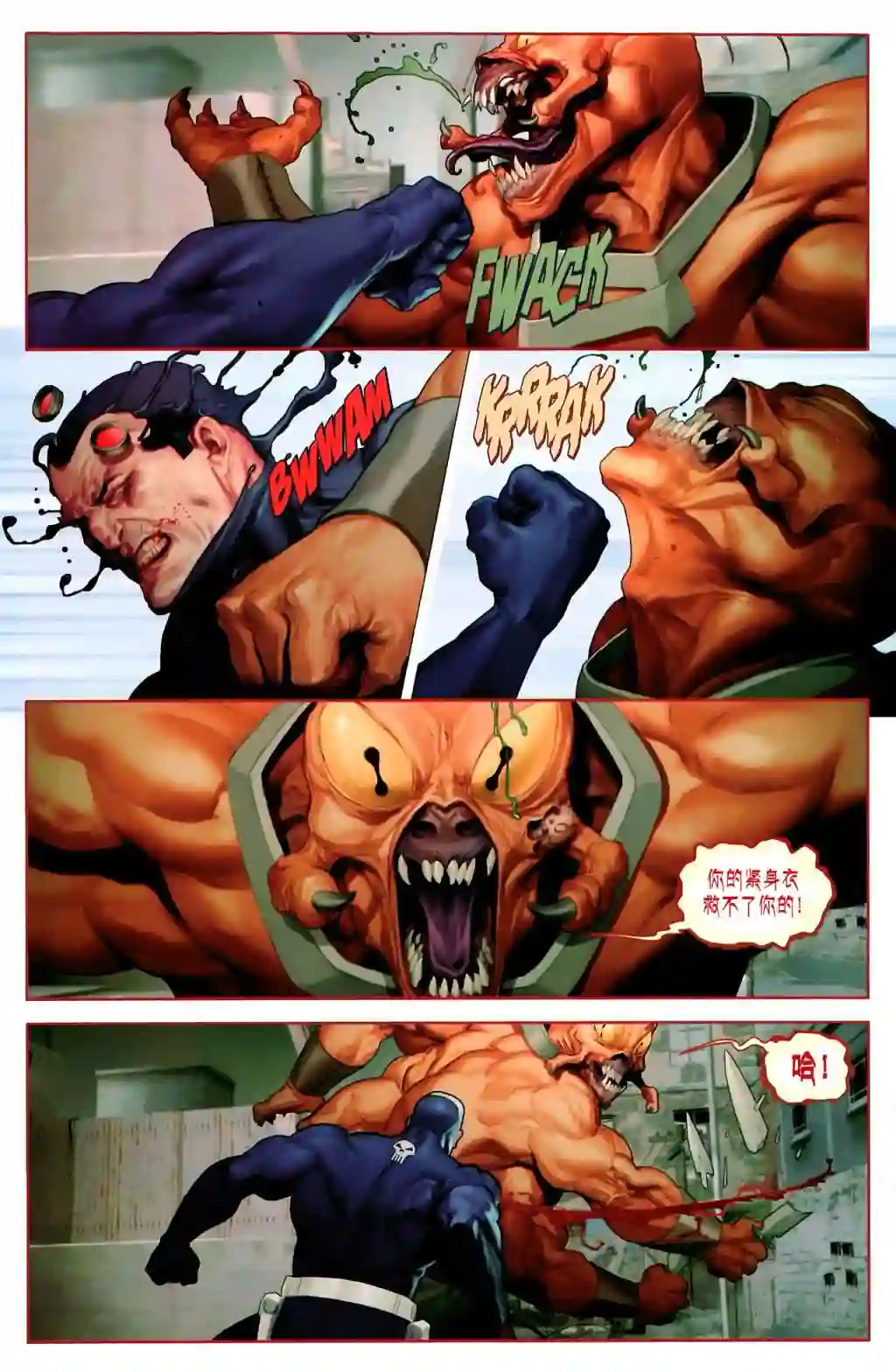 惩罚者战争日志第12卷