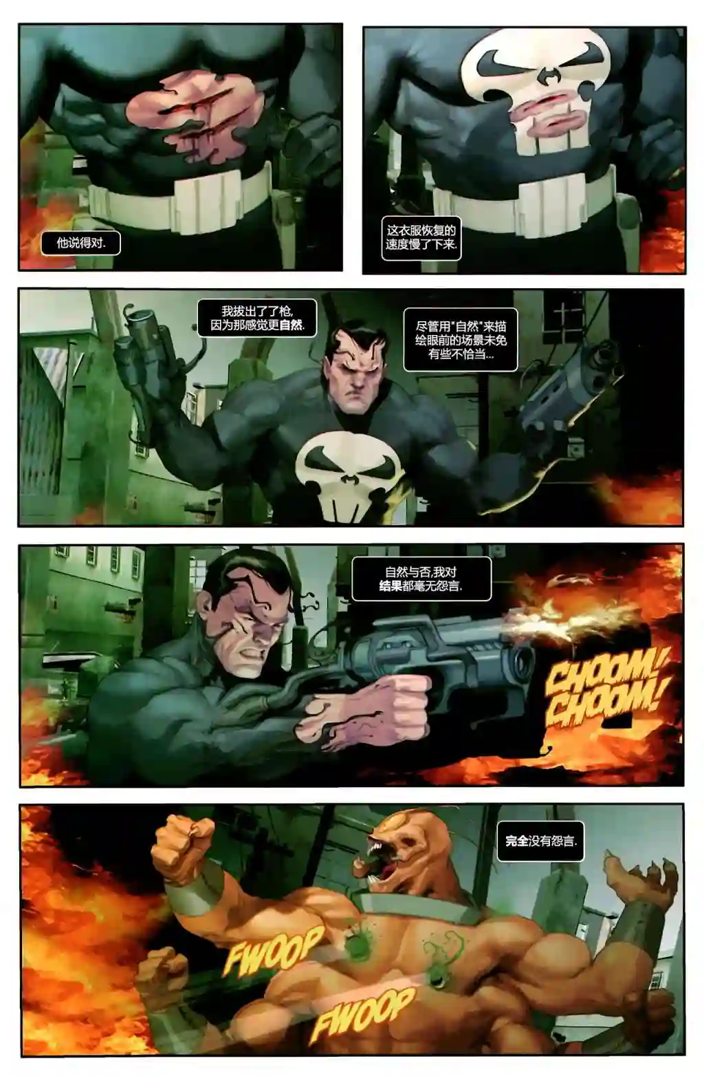 惩罚者战争日志第12卷