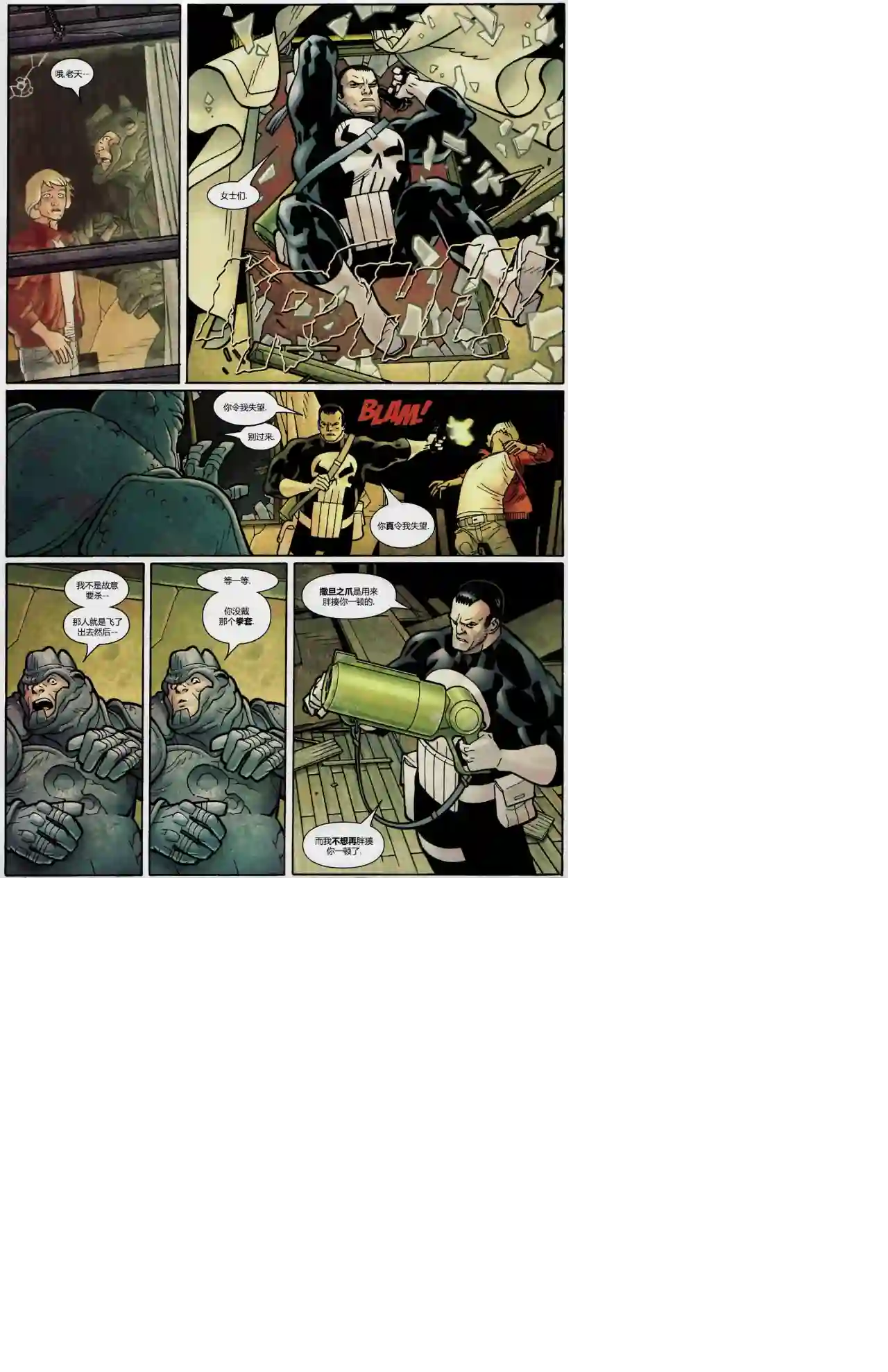 惩罚者战争日志第13卷