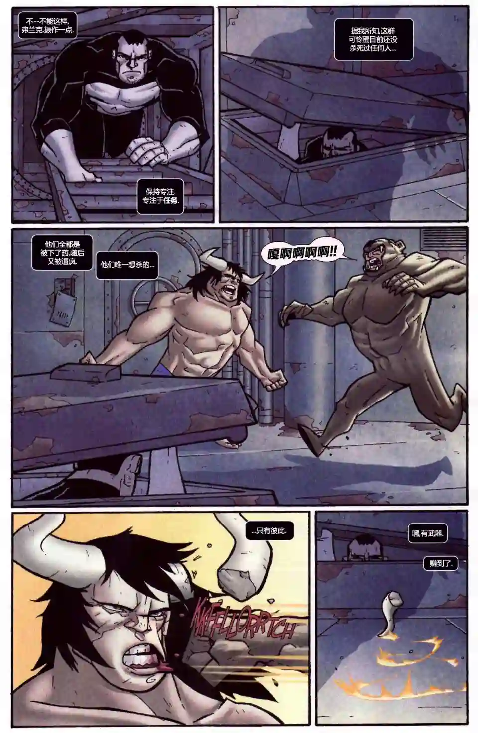 惩罚者战争日志第15卷