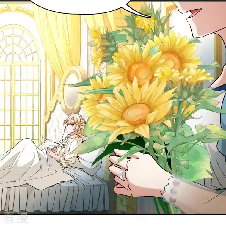 寻找前世之旅第2季第112话 我的骑士6