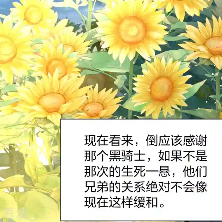 寻找前世之旅第2季第114话 养伤2