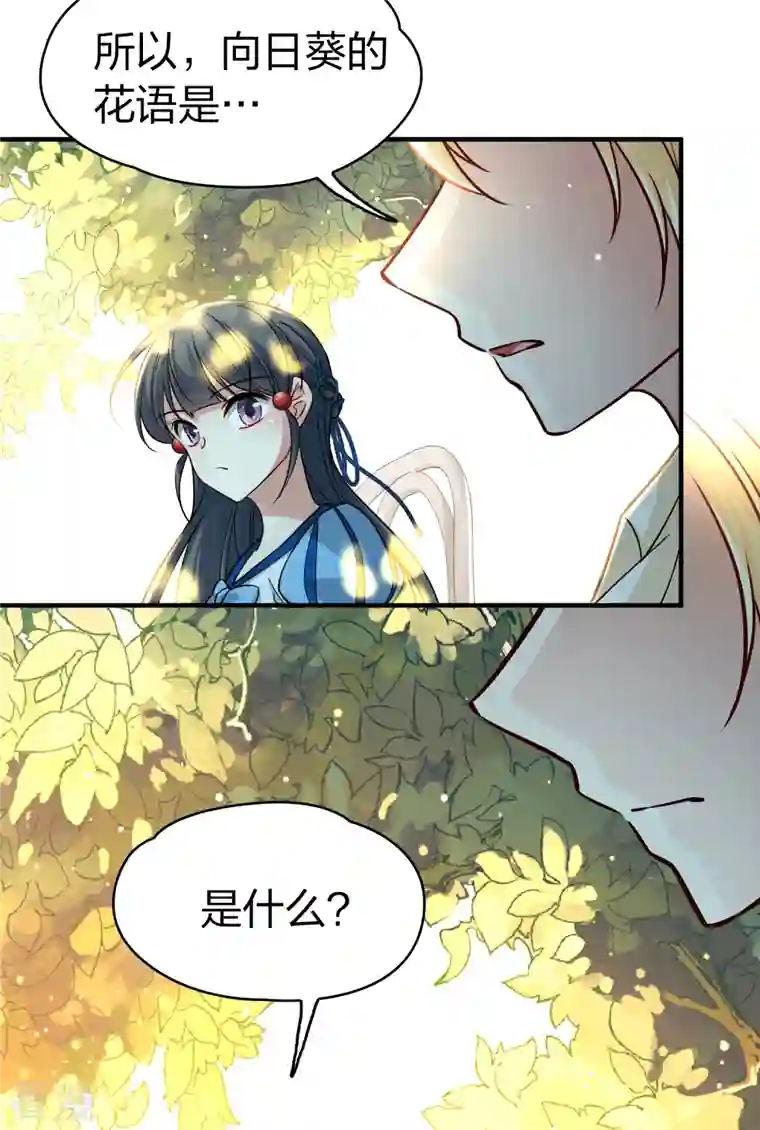寻找前世之旅第2季第115话 养伤3