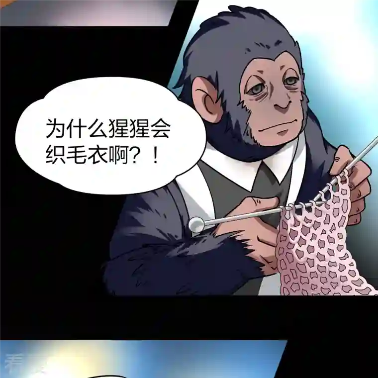 寻找前世之旅番外篇9 司音番外Just one day03