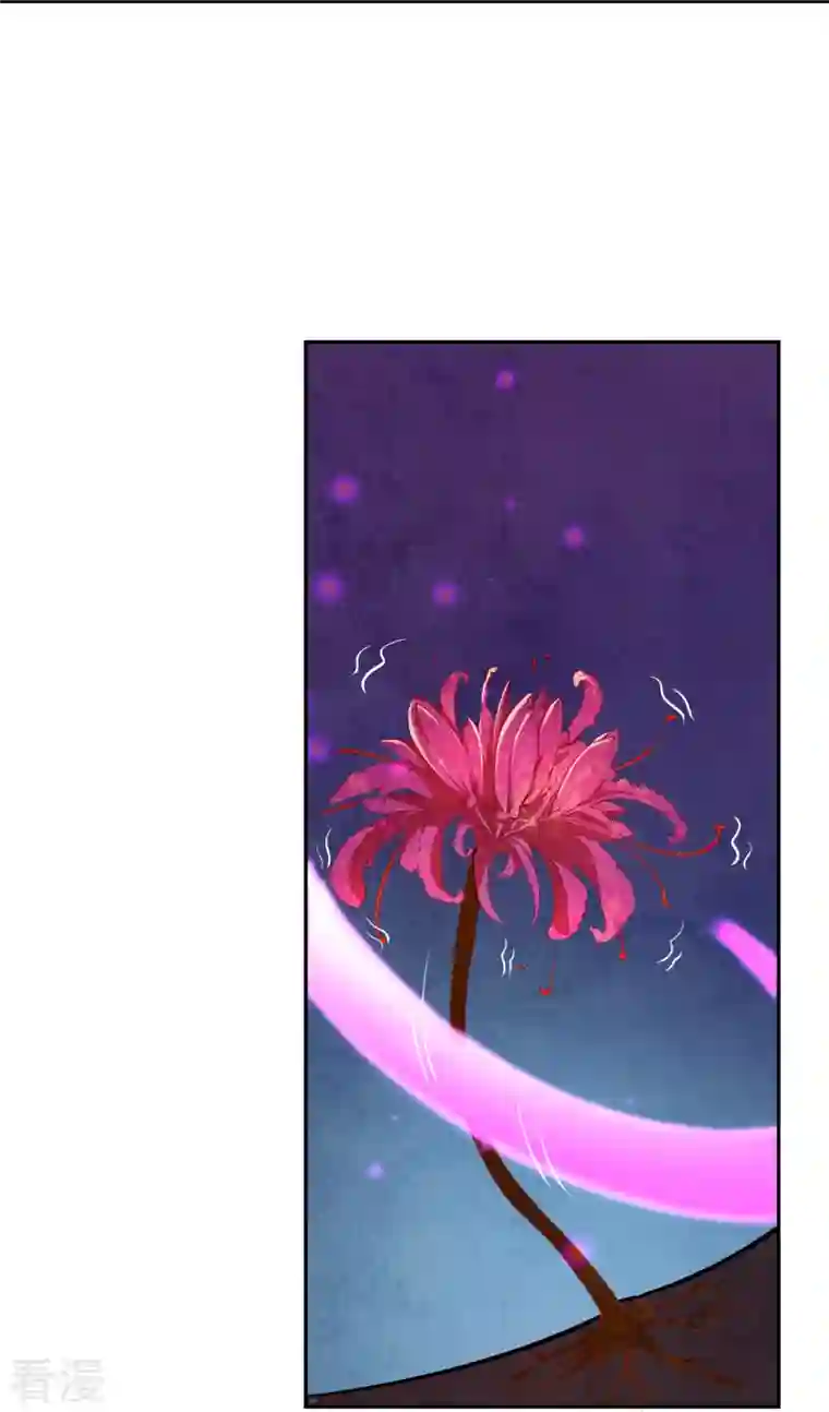 逆天邪神第444话 谁也别想阻止我