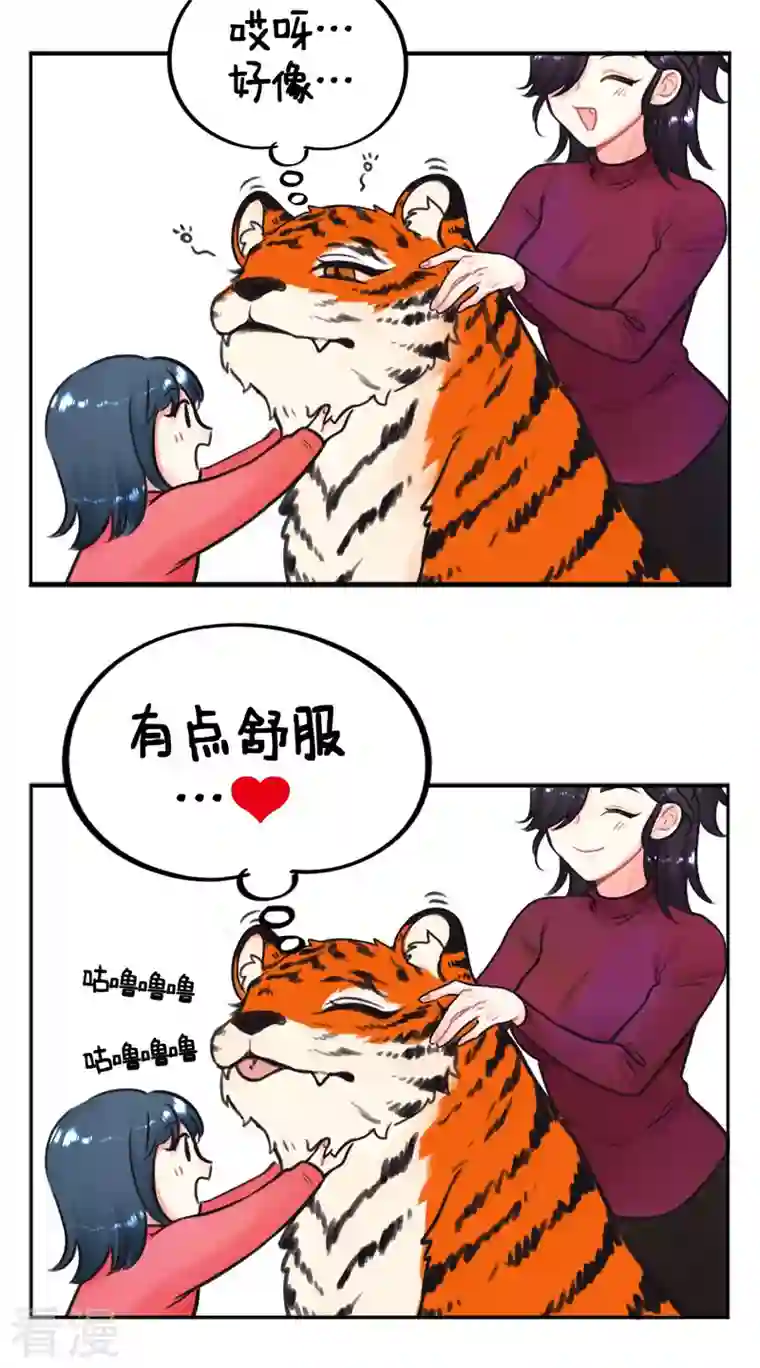 中国娘第225话 过年就要RUA虎虎2