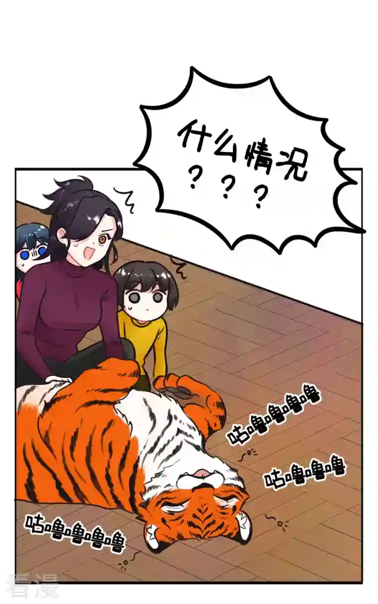 中国娘第225话 过年就要RUA虎虎2
