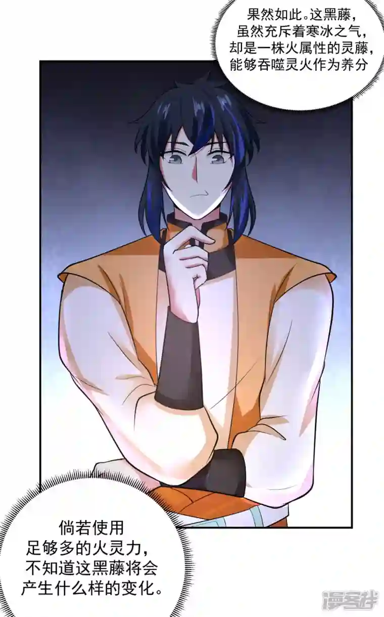 混沌丹神第235话 天灵地宝