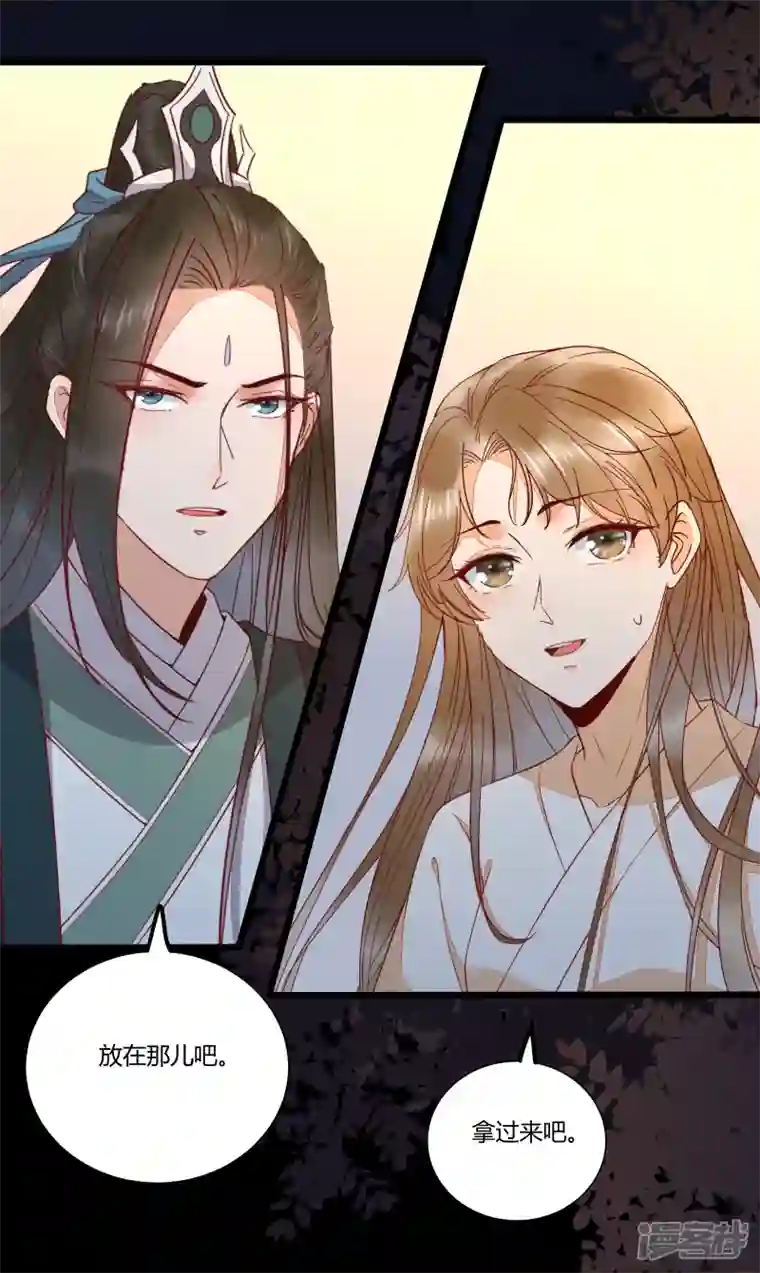 杀手王妃不好惹第129话 天衣无缝的计划