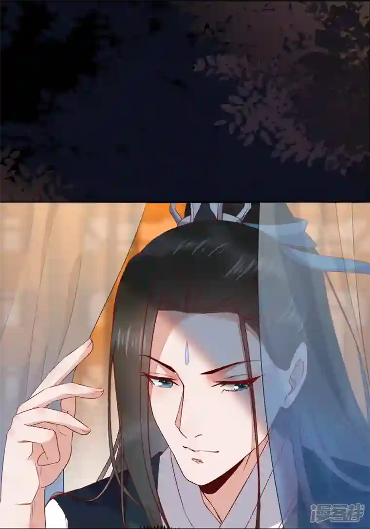 杀手王妃不好惹第129话 天衣无缝的计划