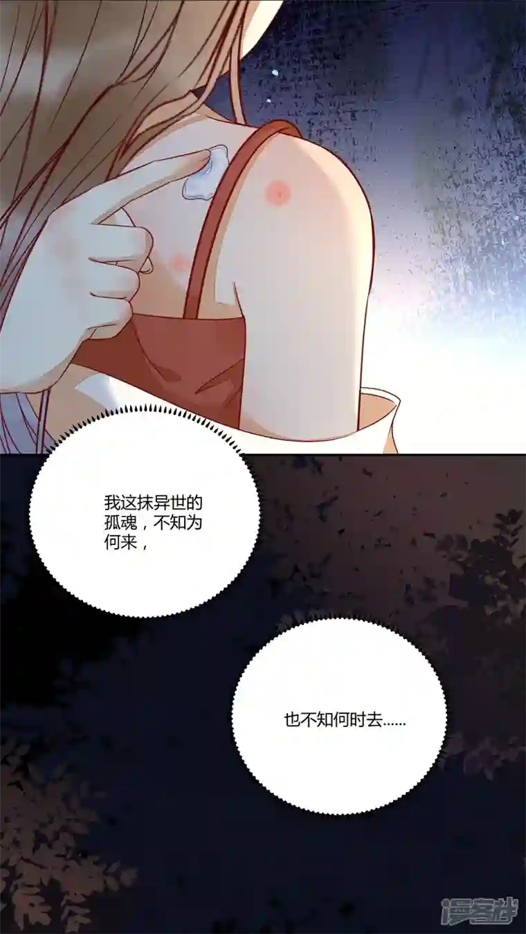杀手王妃不好惹第129话 天衣无缝的计划