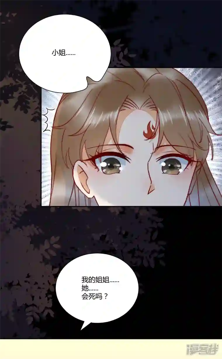 杀手王妃不好惹第129话 天衣无缝的计划