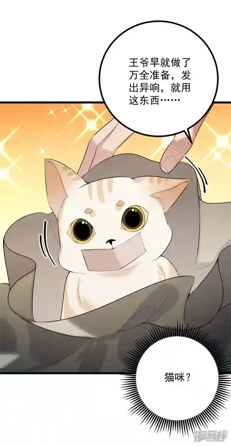 一品嫡女第248话 早有准备