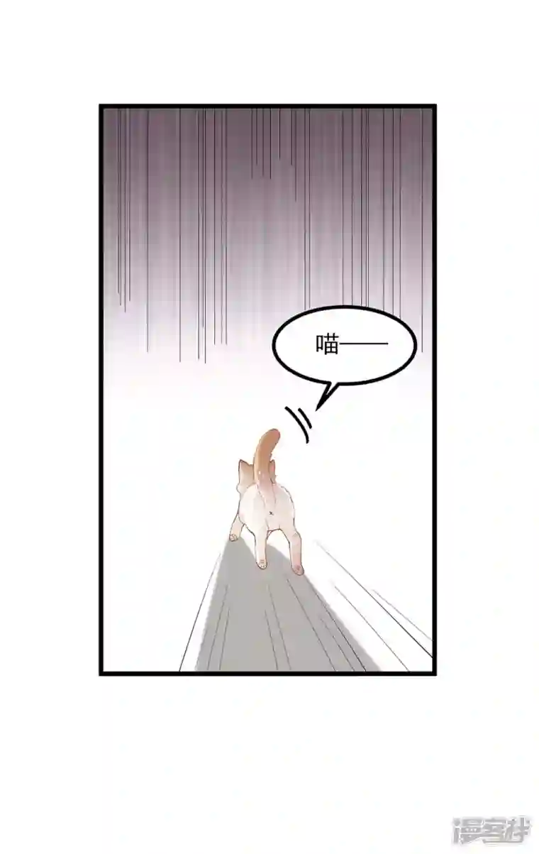 一品嫡女第248话 早有准备