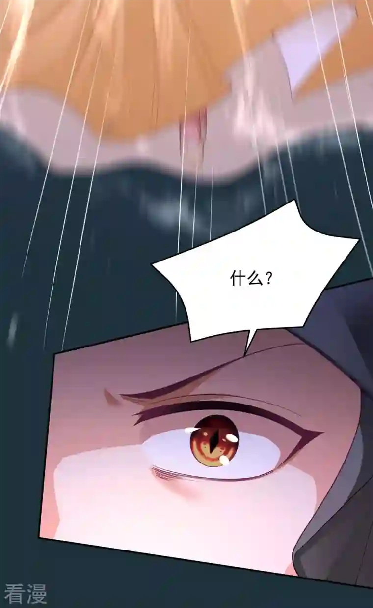 我在后宫当大佬第148话 速战速决