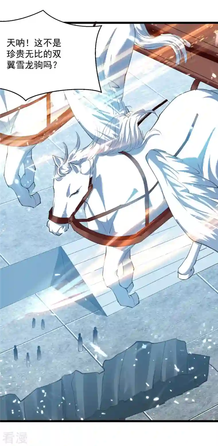 凌天神帝第244话 雪儿来了