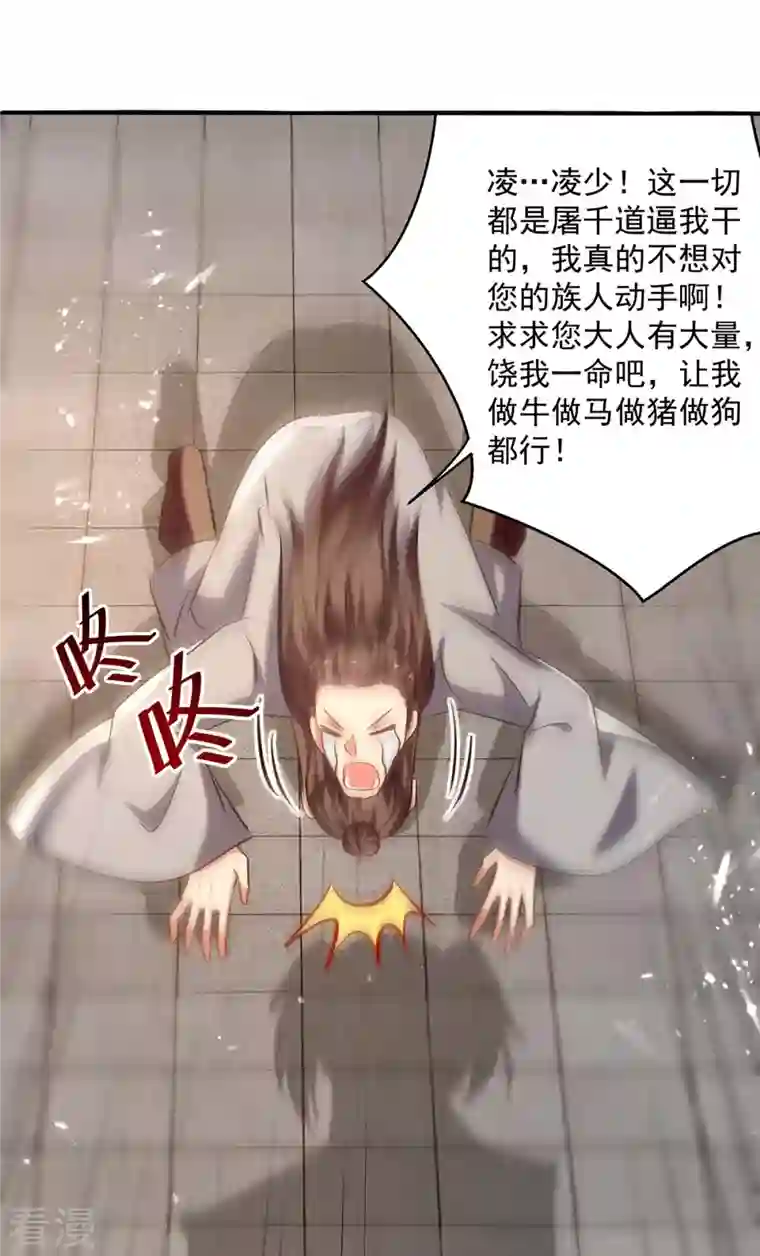 凌天神帝第247话 大家受苦了