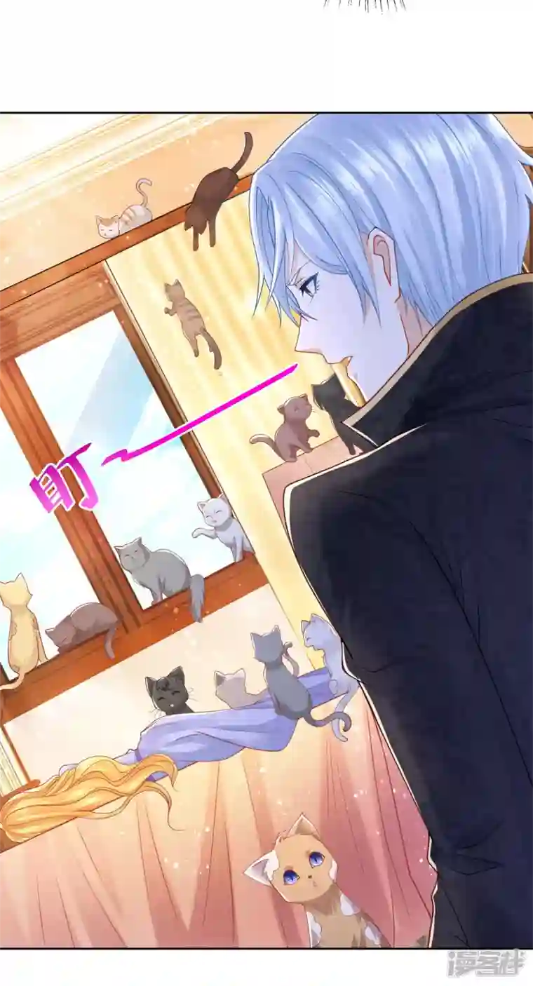 想成为废柴的公爵小姐第179话 多日不见变猫窝