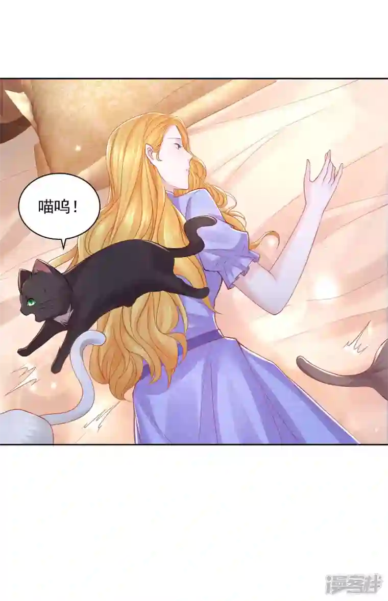 想成为废柴的公爵小姐第179话 多日不见变猫窝