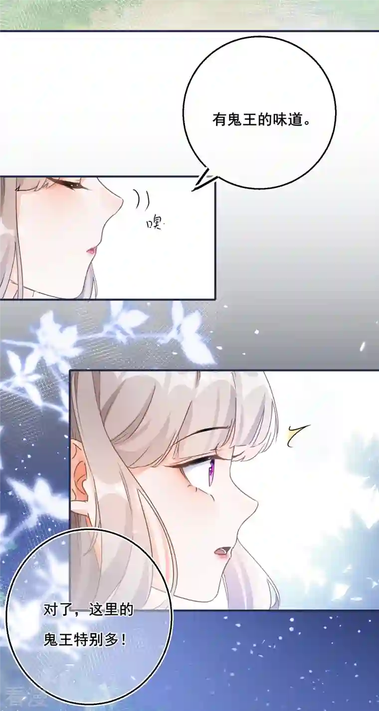穿越到春秋男校当团宠第137话 灵雾山之谜