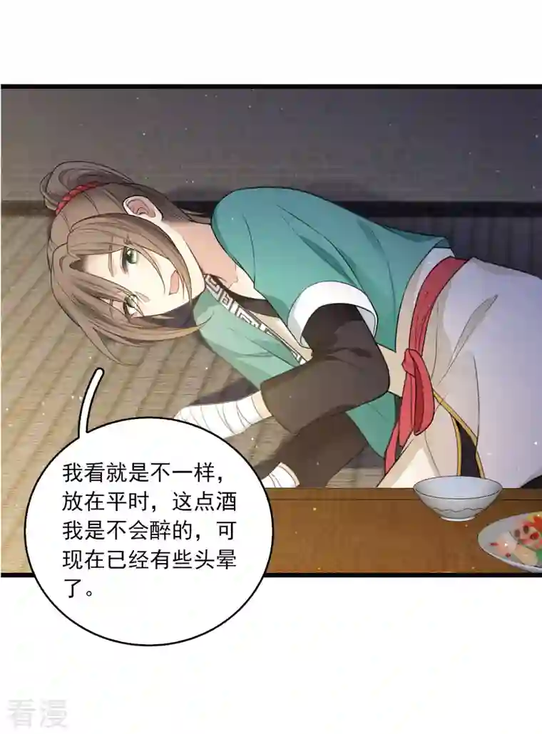 长相思番外3 不醉