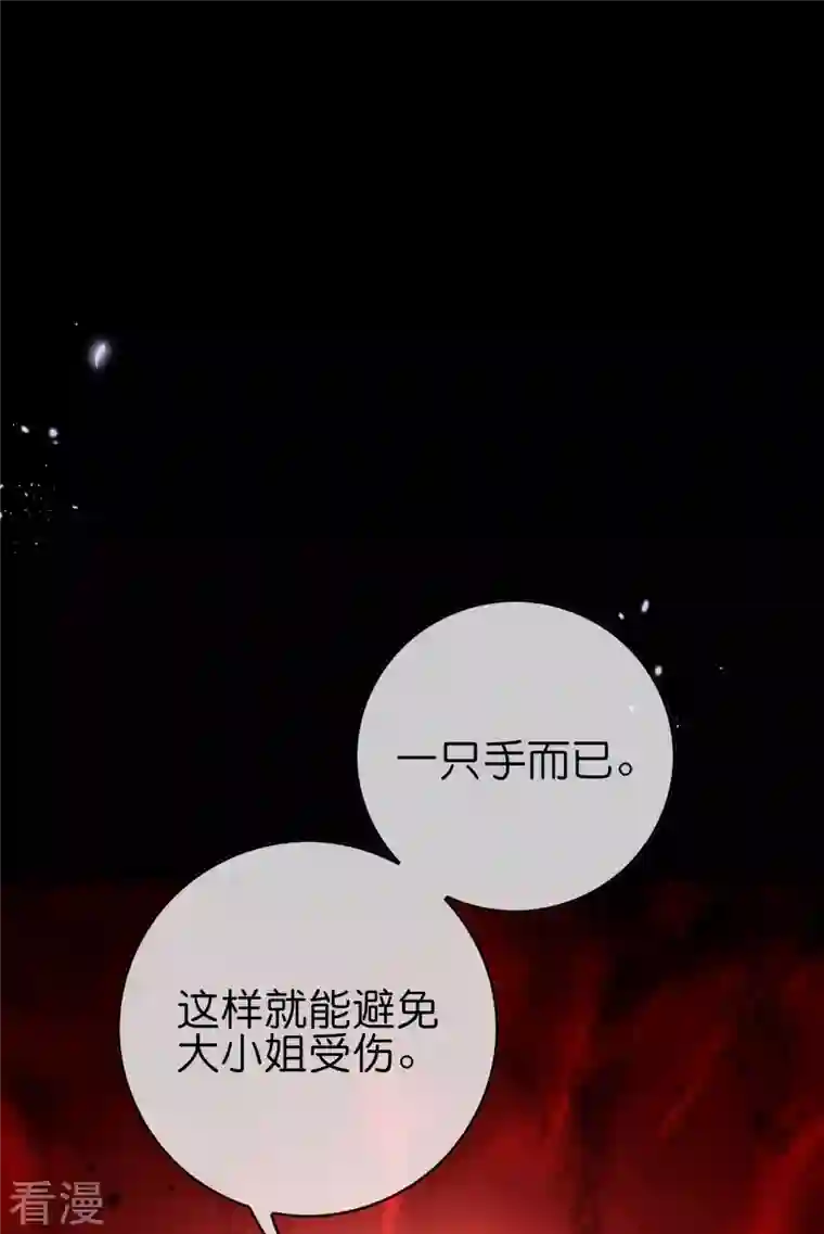 我的末世大小姐第107话 焦糖色宝物2