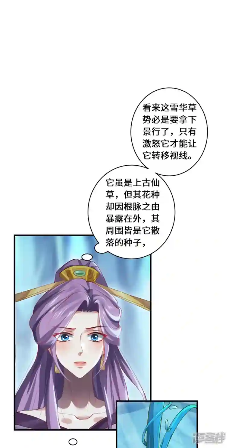 吾本是猫第56话 万年雪华草
