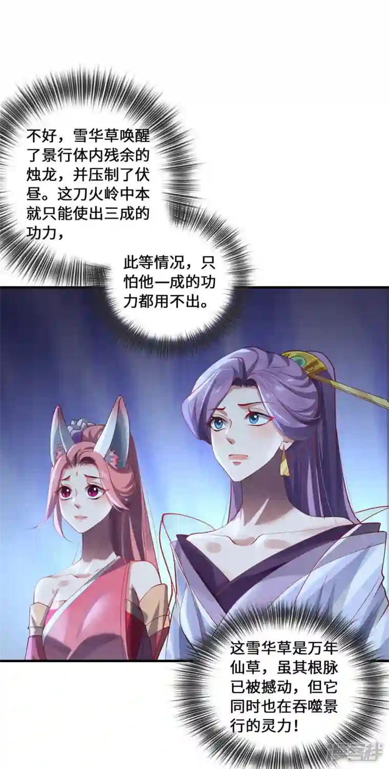 吾本是猫第56话 万年雪华草
