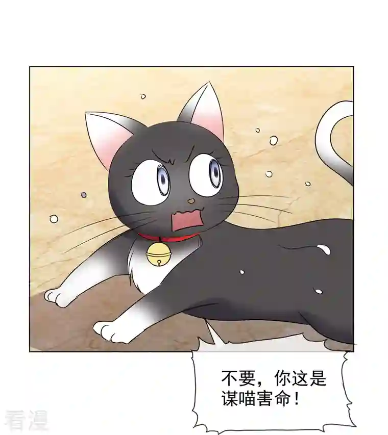 重生后靠脸混娱乐圈第203话 楚墨拜访