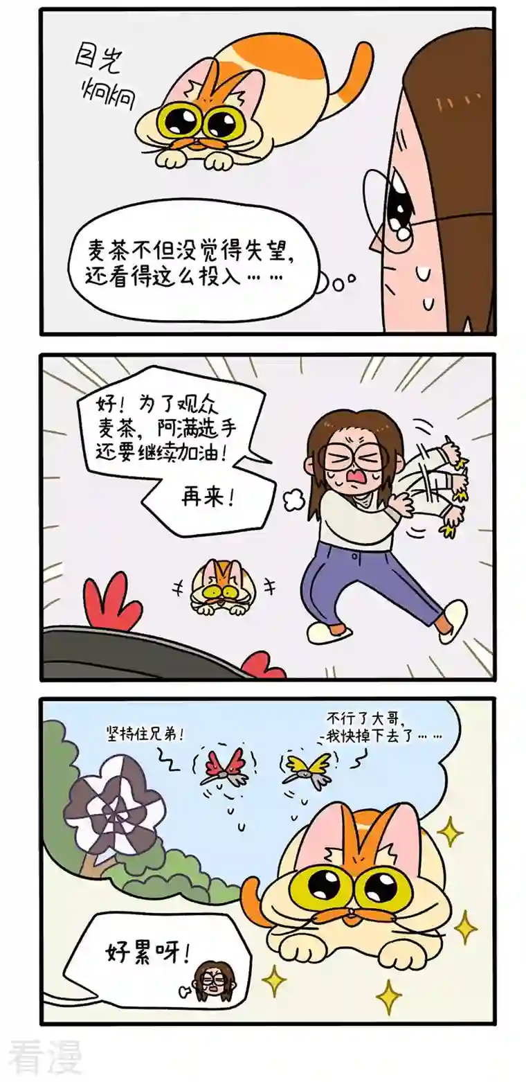 阿满和麦茶第60话 飞镖游戏