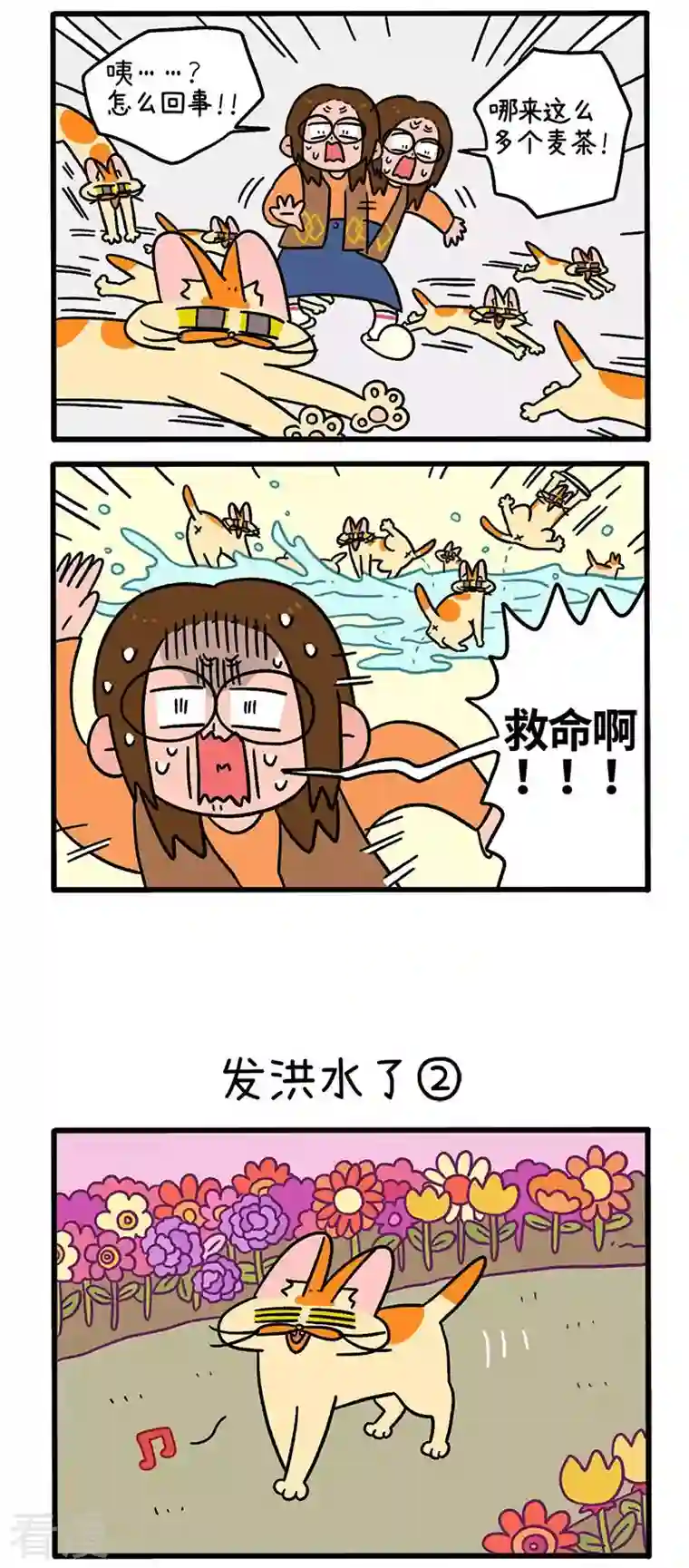 阿满和麦茶第61话 发洪水了