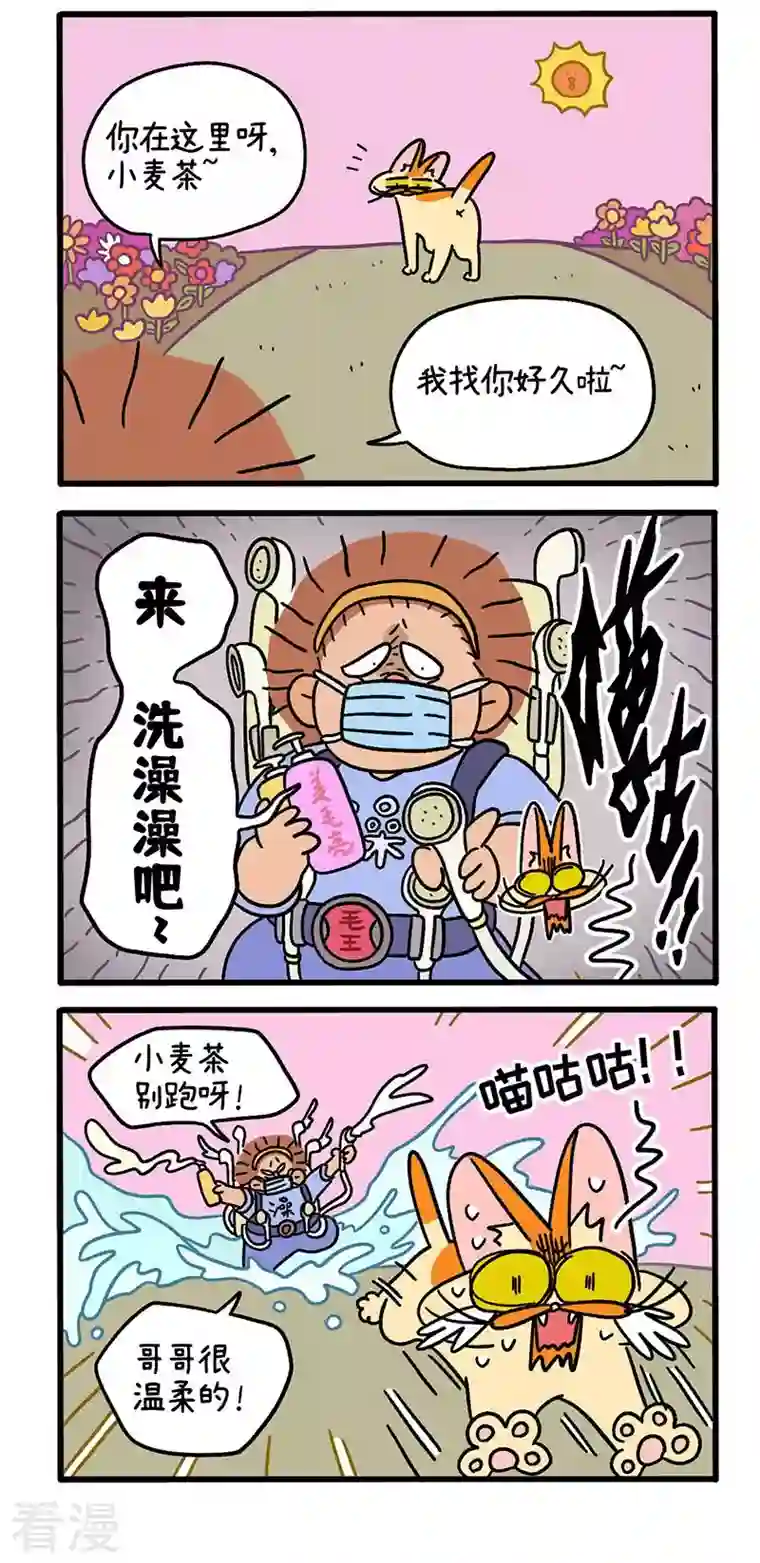阿满和麦茶第61话 发洪水了