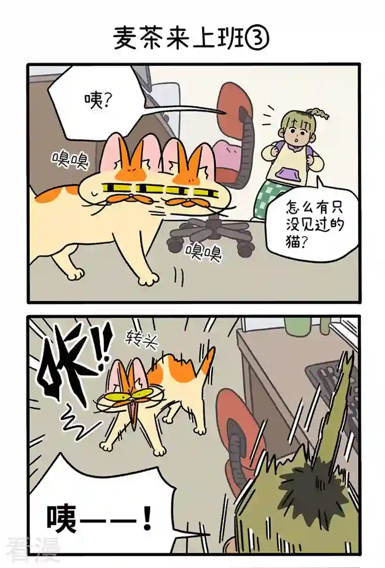 阿满和麦茶第63话1 麦茶来上班