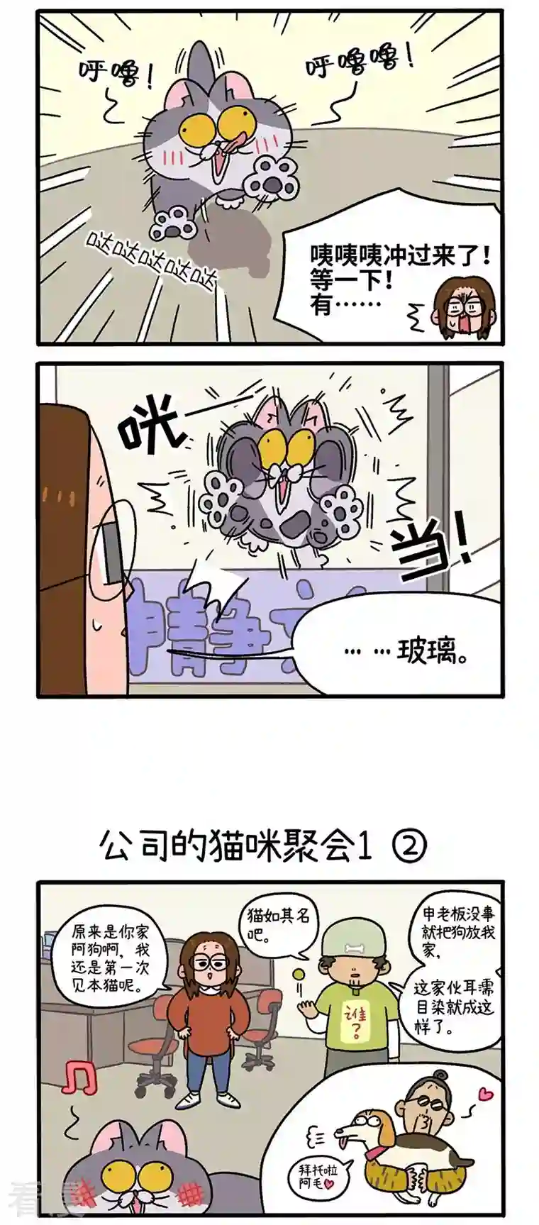阿满和麦茶第65话1 公司的猫咪聚会