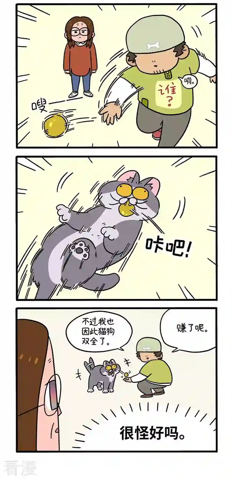 阿满和麦茶第65话1 公司的猫咪聚会