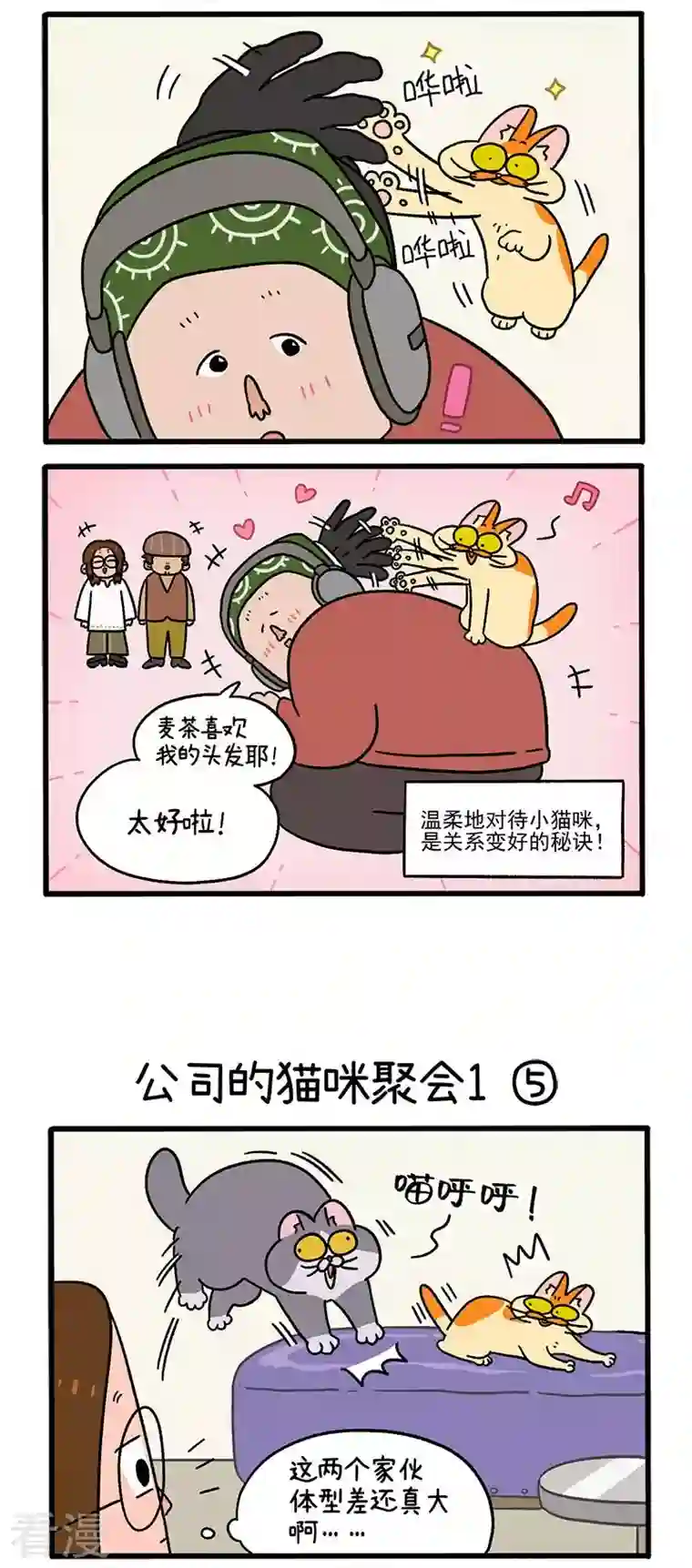 阿满和麦茶第65话2 公司的猫咪聚会