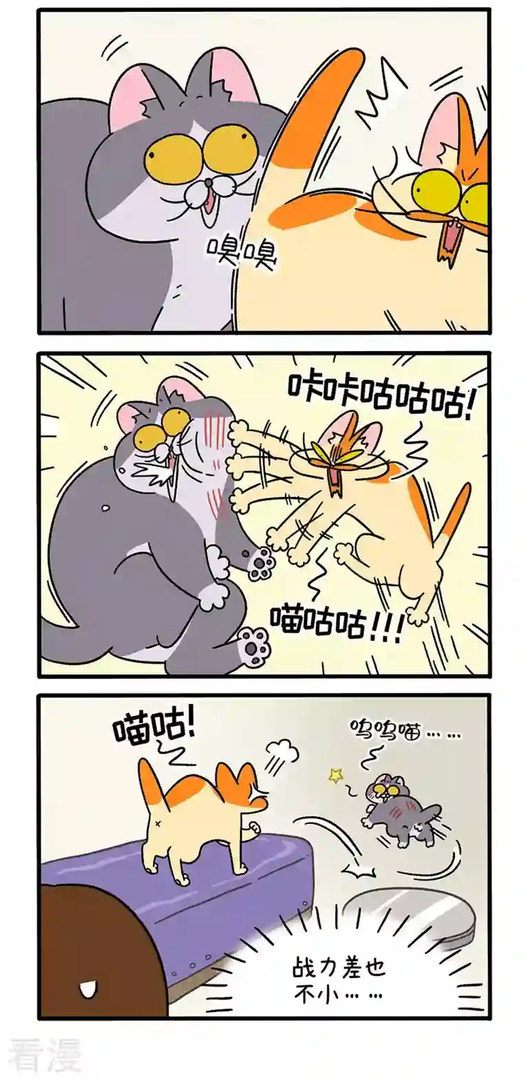 阿满和麦茶第65话2 公司的猫咪聚会