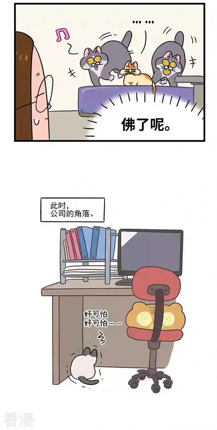 阿满和麦茶第65话2 公司的猫咪聚会