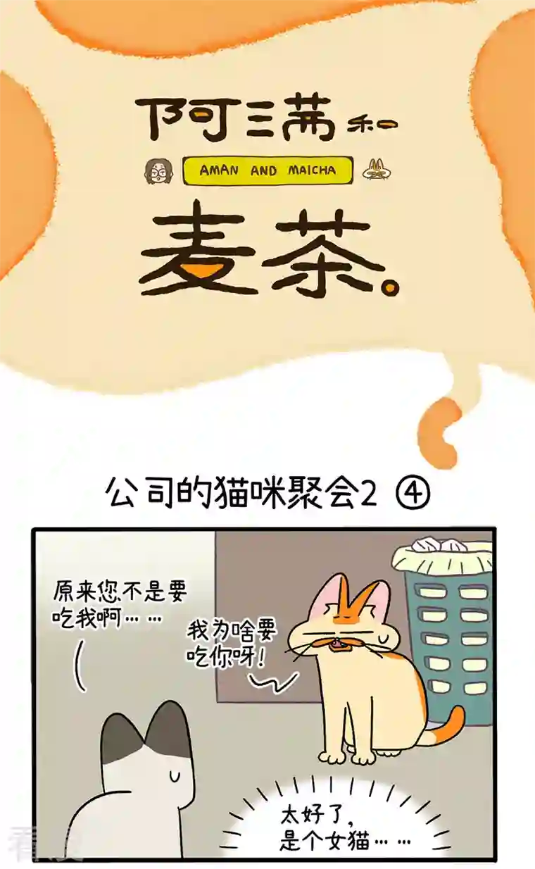 阿满和麦茶第66话2 公司的猫咪聚会2
