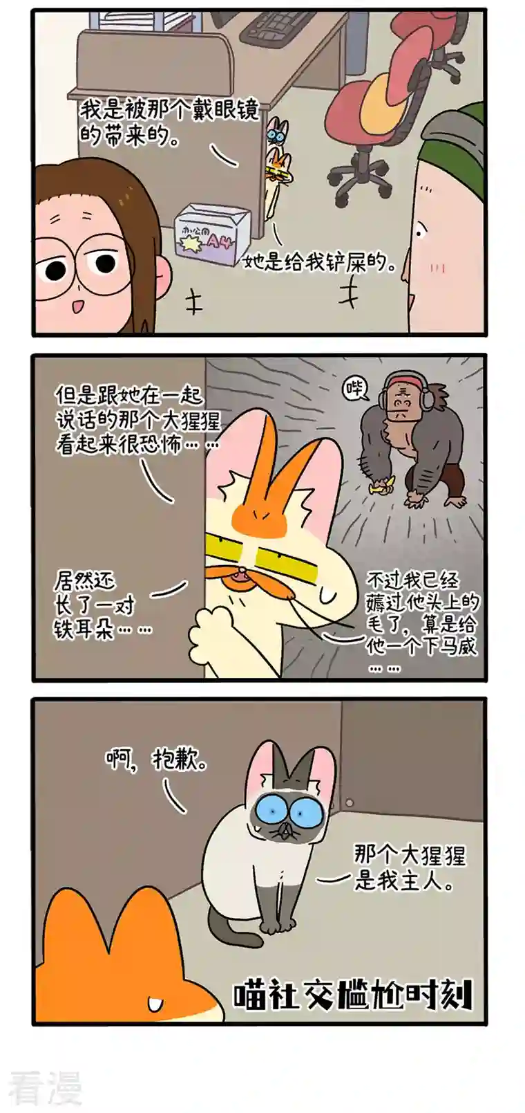 阿满和麦茶第66话2 公司的猫咪聚会2