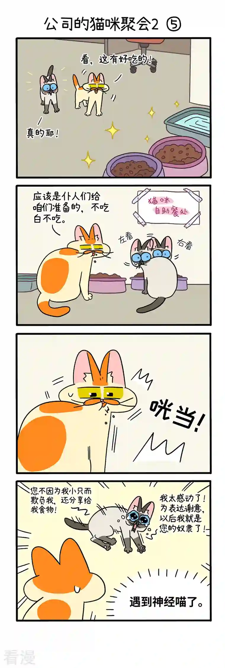 阿满和麦茶第66话2 公司的猫咪聚会2