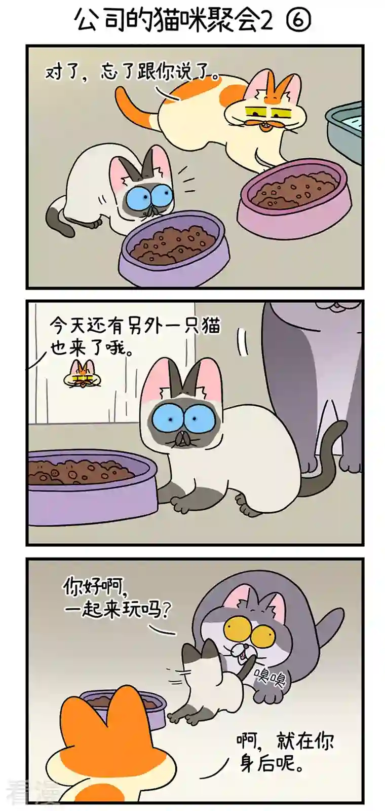 阿满和麦茶第66话2 公司的猫咪聚会2