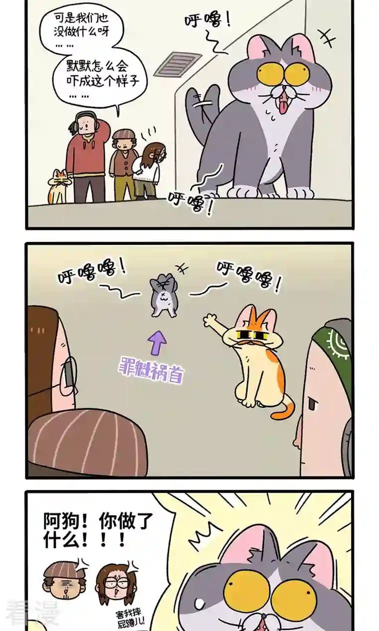 阿满和麦茶第68话1 走廊尽头的恐怖雄性