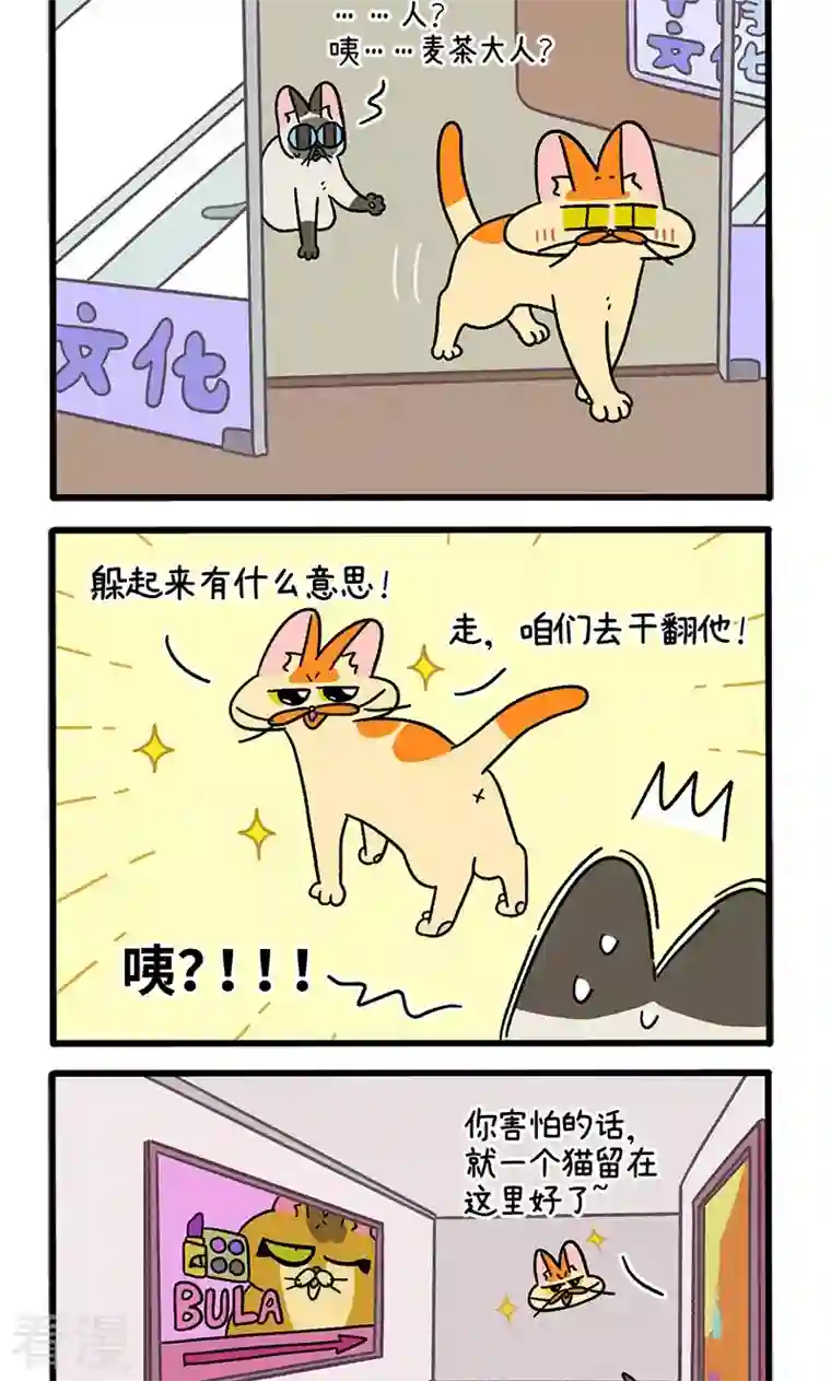 阿满和麦茶第68话2 走廊尽头的恐怖雄性