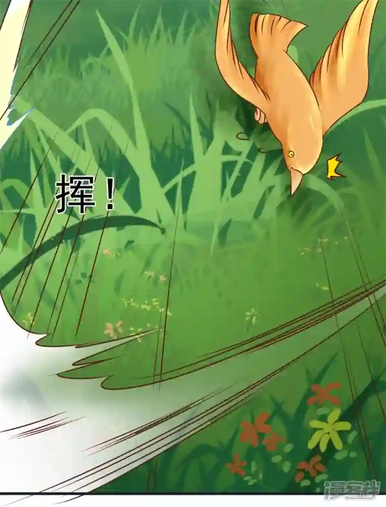 荒天至尊第64话 小金针鸟